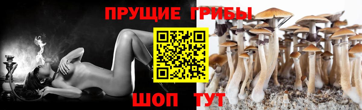 Галлюциногенные грибы мухоморы  Вход с VPN  Чайковский  Псилоцибиновые грибы мухоморы 